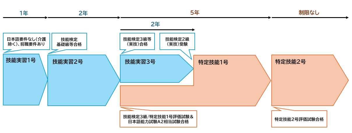 技能実習からの特定技能への移行フロー