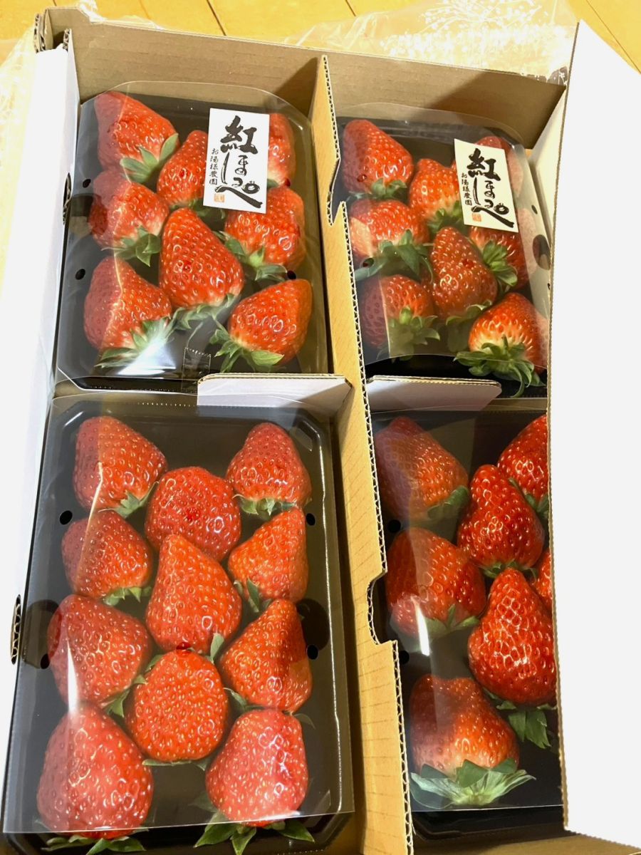 技能実習生がプレゼントしてくれた苺の写真