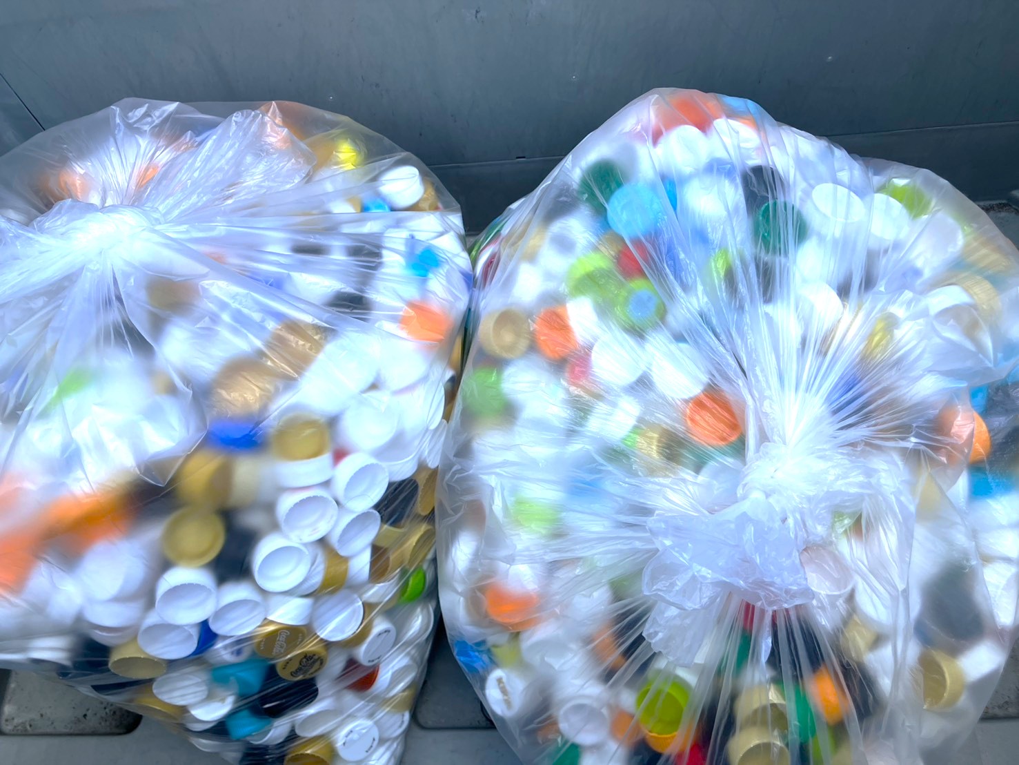 寄付したペットボトルキャップ